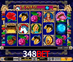 Experiência VIP 348bet